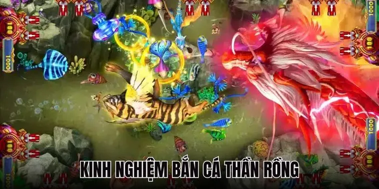 Cách Chơi Bắn Cá Rồng WinVN Kịch Tính Thắng Lớn Tham Gia Ngay