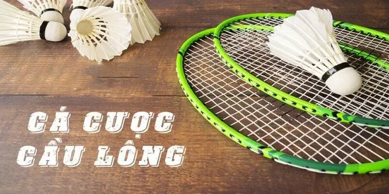 Chinh Phục Cá Cược Cầu Lông WinVN Với Chiến Thuật Thắng Lớn Hôm Nay