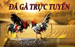 Tham Gia Đá Gà 3D WinVN: Hành Trình Giải Trí Đỉnh Cao Chờ Bạn Khám Phá!