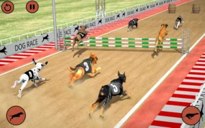 Chinh Phục Game Nhanh Đua Chó Tại WinVN Để Thắng Lớn Hôm Nay